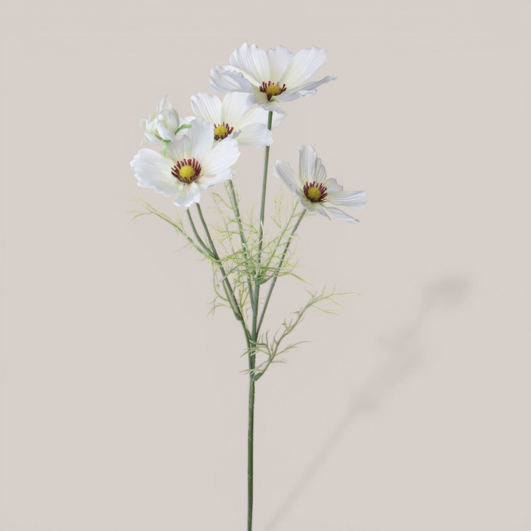 Cosmos In Fiore per 5 • 68 cm