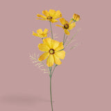 12 Pezzi • Cosmos In Fiore per 5 • 68 cm
