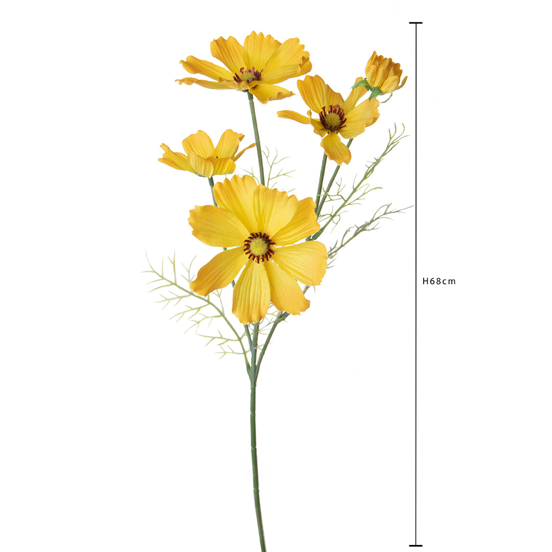 Cosmos In Fiore per 5 • 68 cm