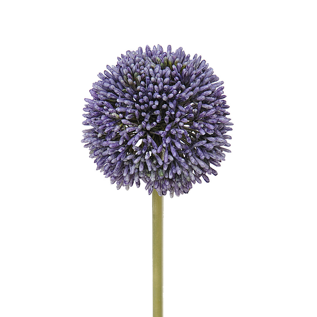 2 Pezzi • Fiore di allium artificiale • 66 cm