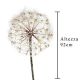 Tarassaco/Dandelion • 92 cm