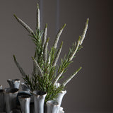 Spiga per 5 • 60 cm