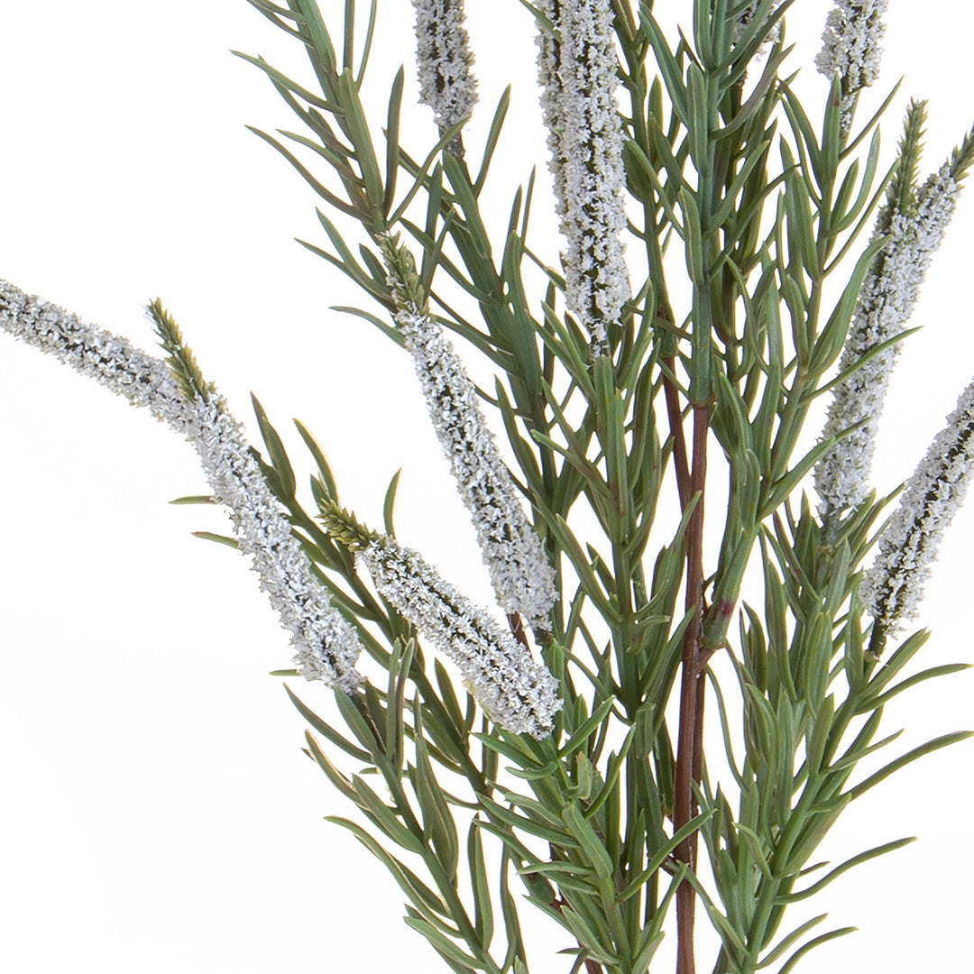 Spiga per 5 • 60 cm