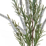 Spiga per 5 • 60 cm