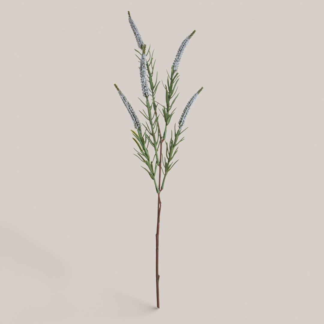Spiga per 5 • 60 cm