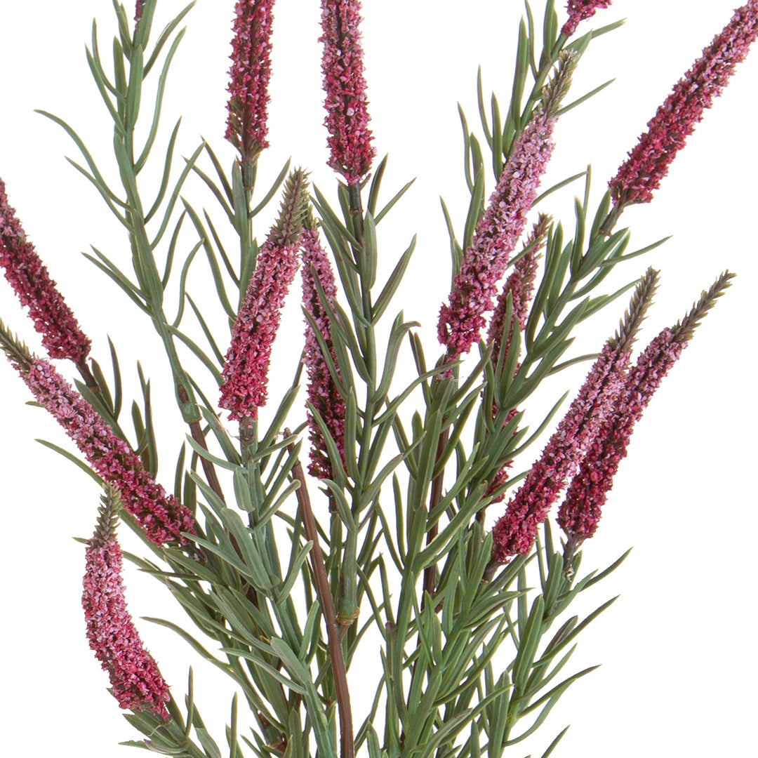 Spiga per 5 • 60 cm