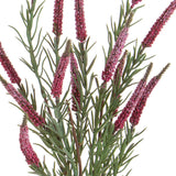 Spiga per 5 • 60 cm