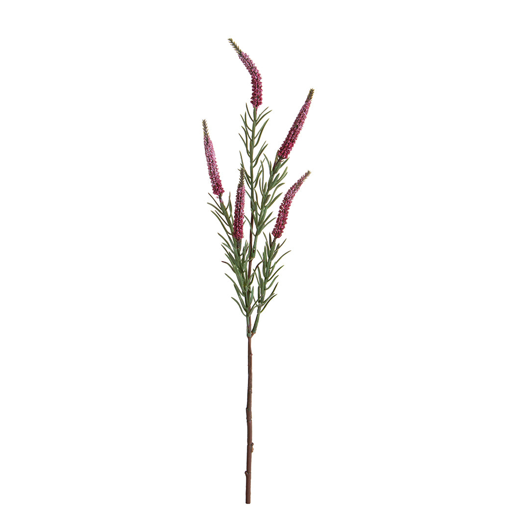 Spiga per 5 • 60 cm
