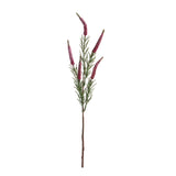 Spiga per 5 • 60 cm