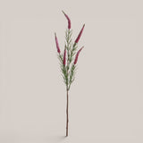 Spiga per 5 • 60 cm