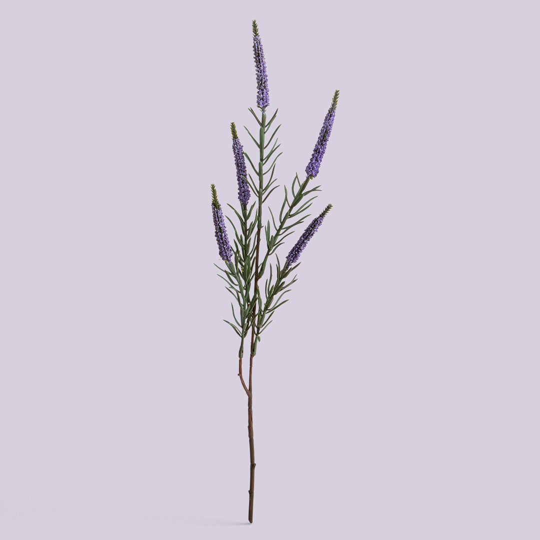 18 Pezzi • Spiga per 5 • 60 cm