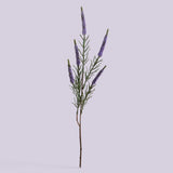 18 Pezzi • Spiga per 5 • 60 cm