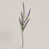 Spiga per 5 • 60 cm