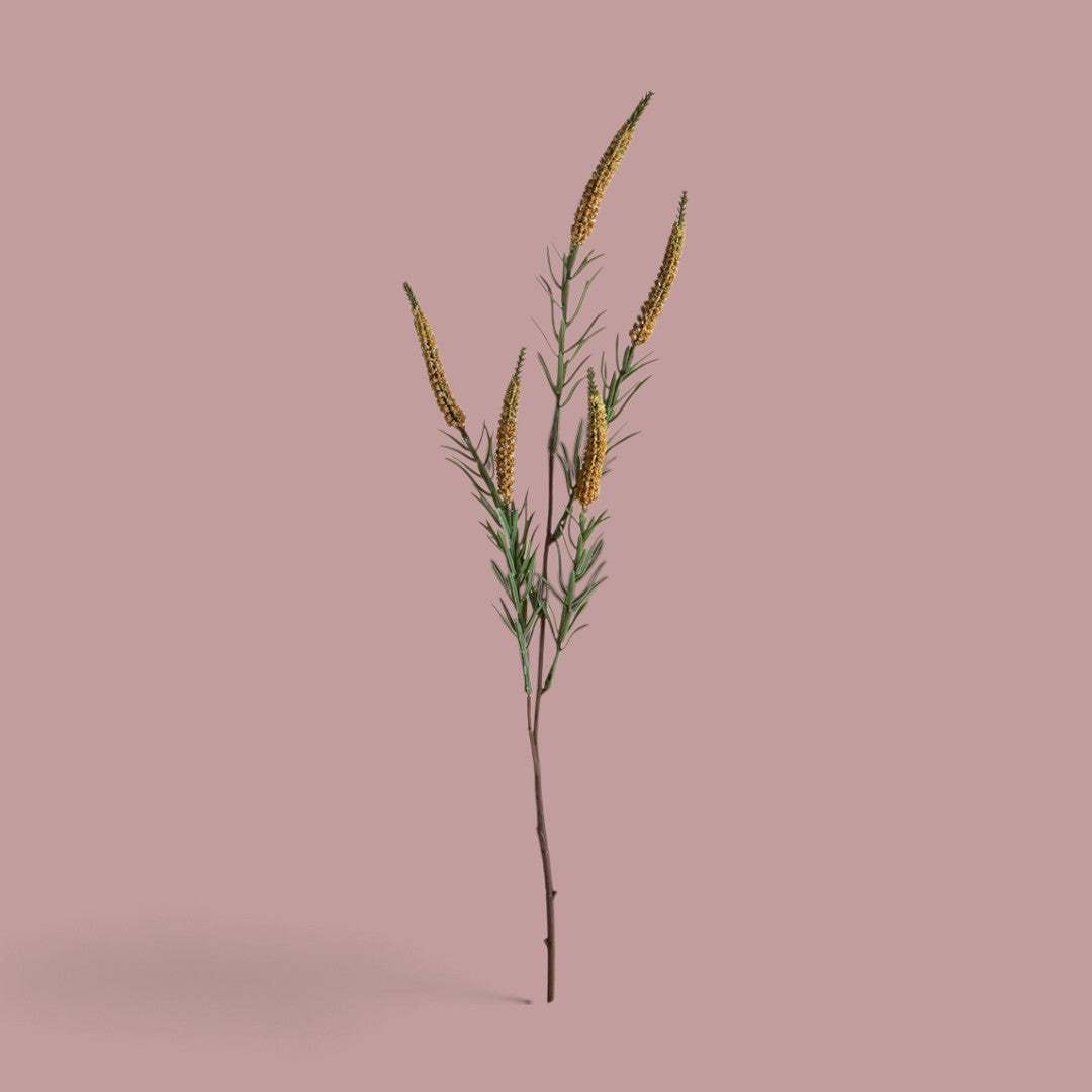 18 Pezzi • Spiga per 5 • 60 cm