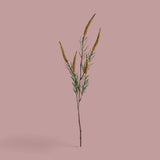 18 Pezzi • Spiga per 5 • 60 cm