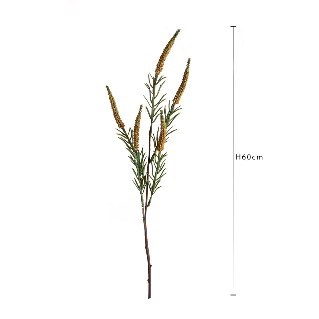 Spiga per 5 • 60 cm