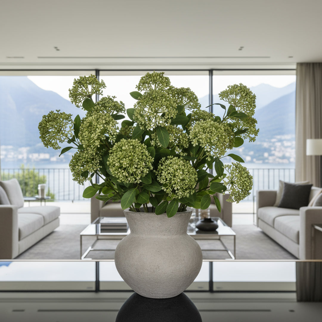 Skimmia per 3 Fiori  17 foglie • 80 cm