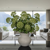 Skimmia per 3 Fiori  17 foglie • 80 cm