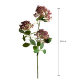 Skimmia per 3 Fiori  17 foglie • 80 cm