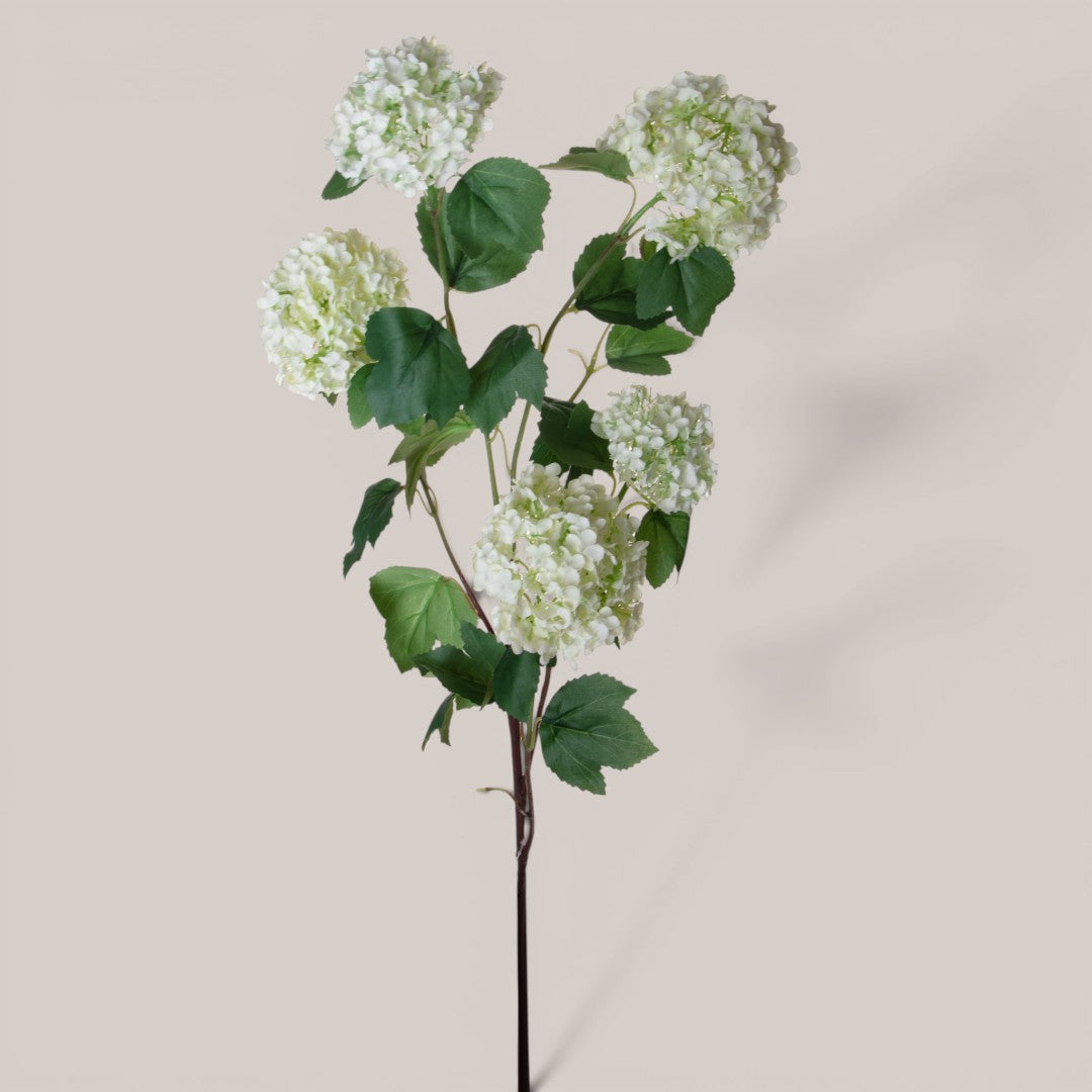Viburno per 5 rami •  85 cm