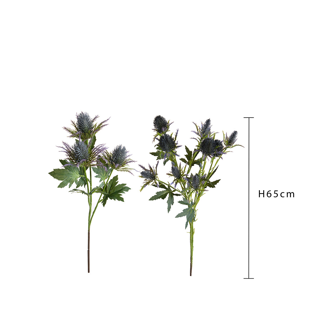 Eringium Ass. • 65 cm