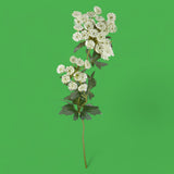 4 Pezzi • Pianta achillea f2 fiori artificiale • 76 cm