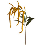 Amaranthus Caudato • 110 cm