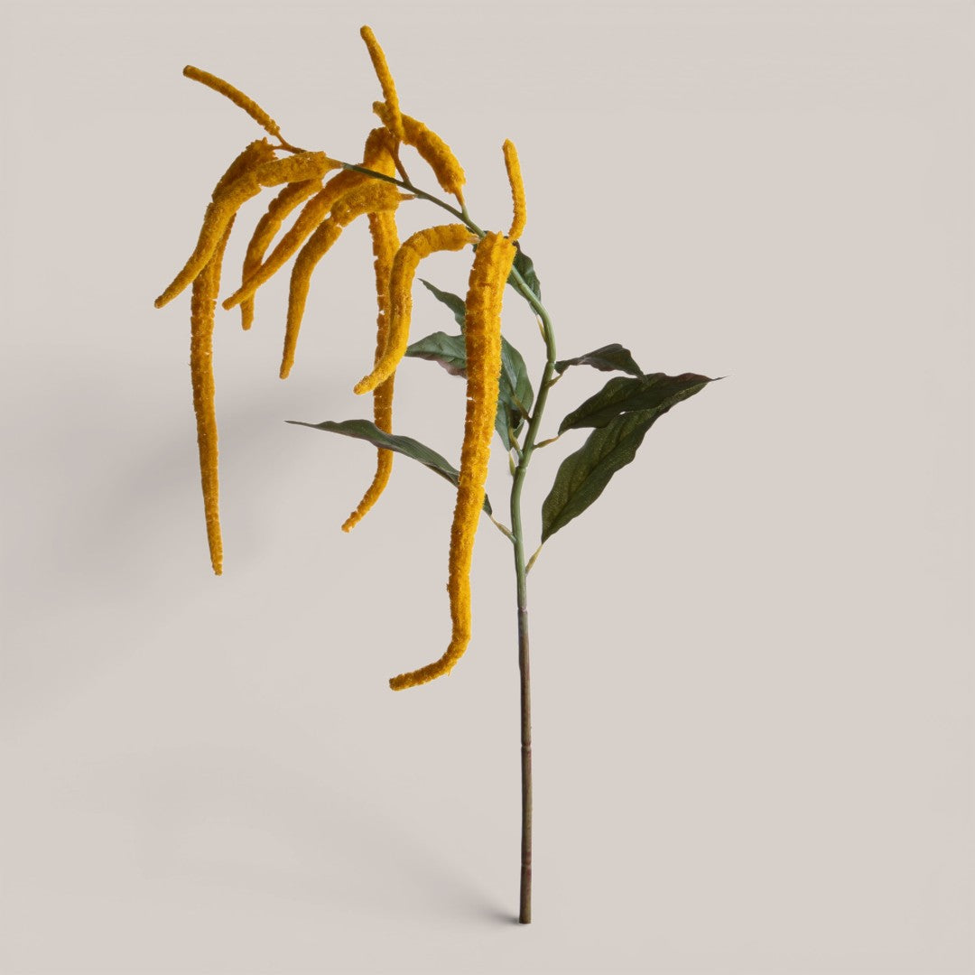 Amaranthus Caudato • 110 cm