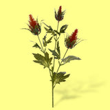 8 Pezzi • Fiore di Eringium artificiale per 3 fiori • 68 cm