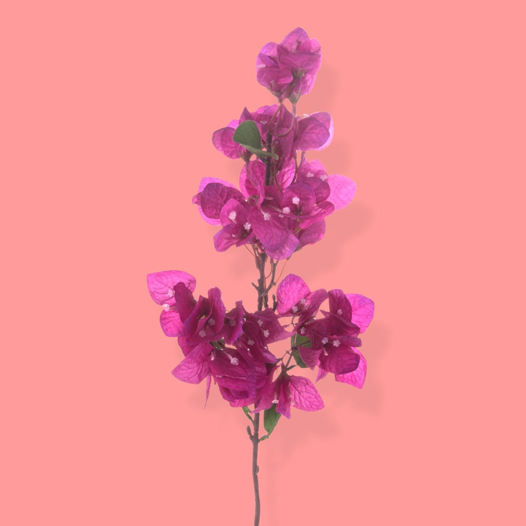 4 Pezzi • Fiore di bouganville artificiale • 80 cm