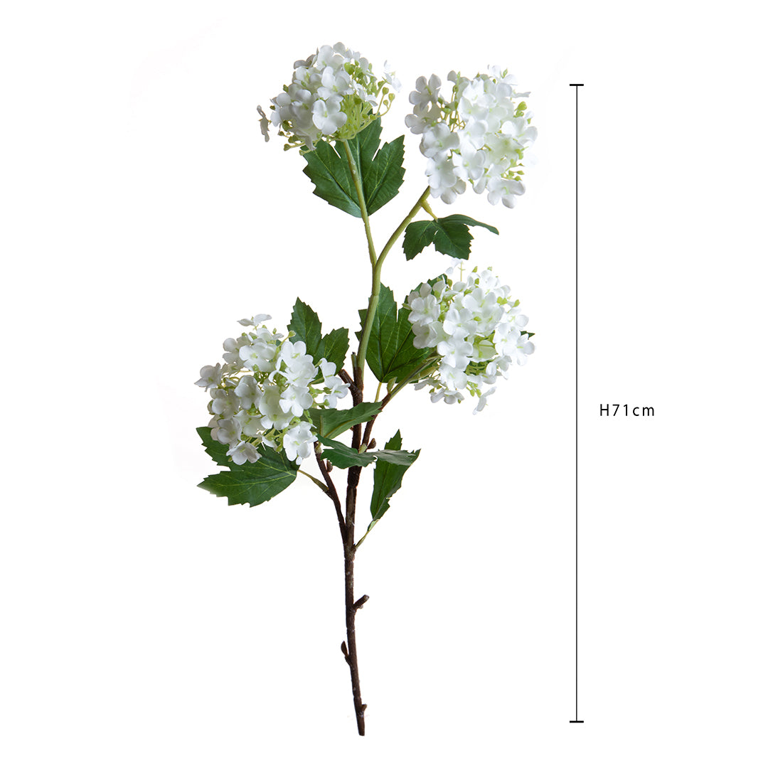 Viburno • 71 cm
