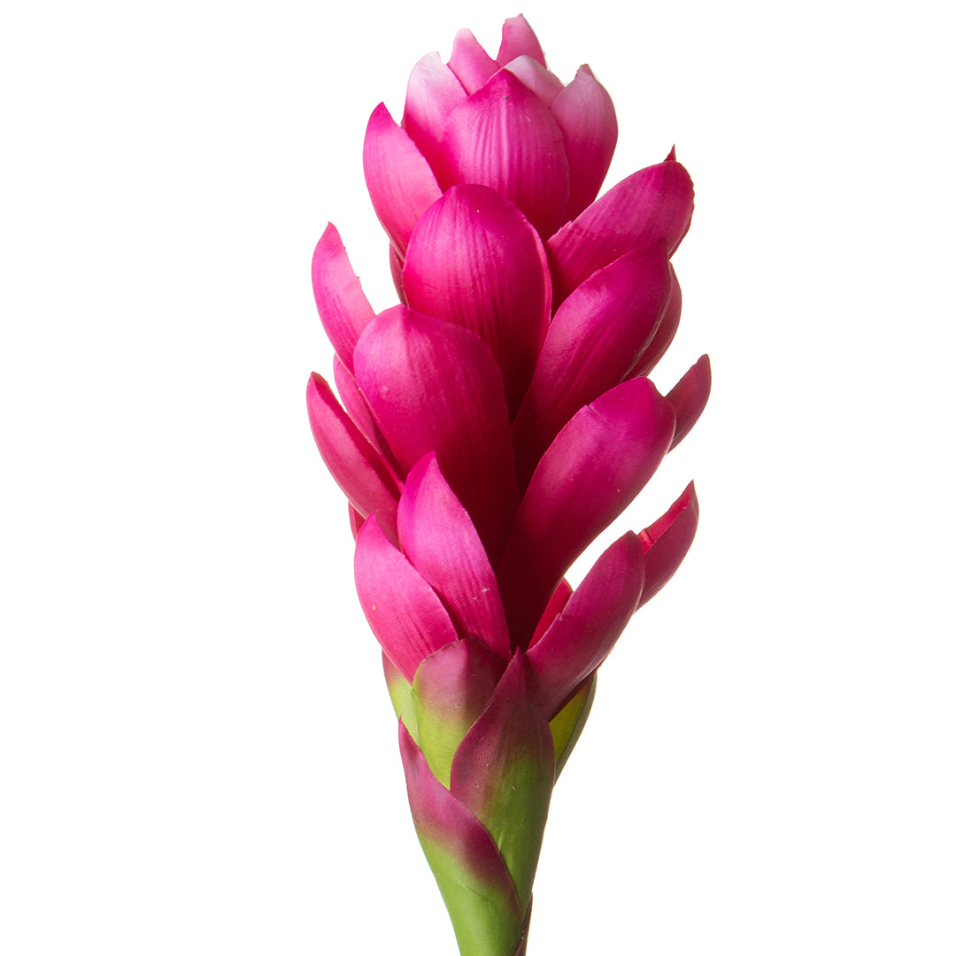 2 Pezzi • Ginger artificiale con foglia • 97 cm