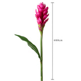 2 Pezzi • Ginger artificiale con foglia • 97 cm