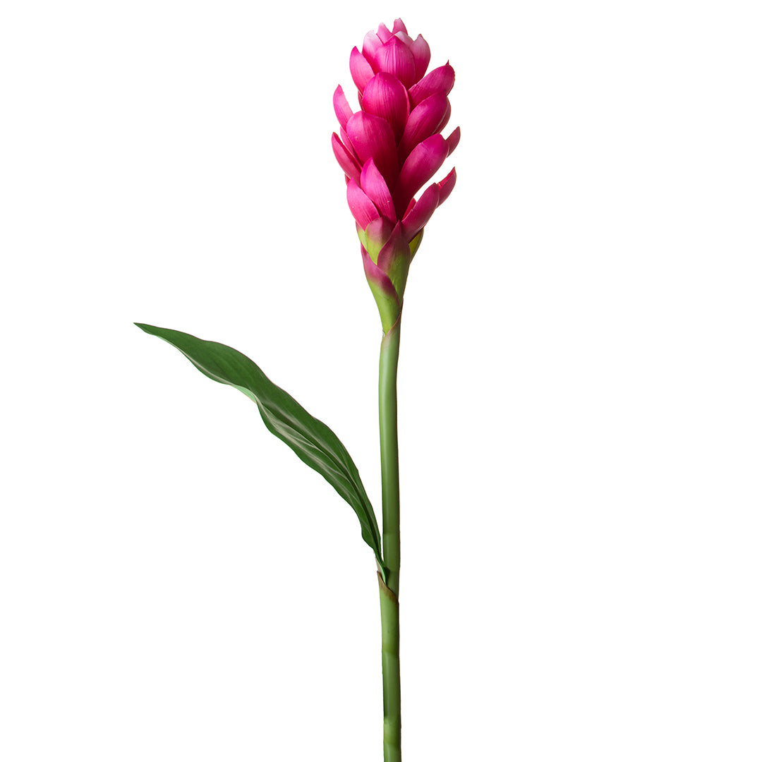 2 Pezzi • Ginger artificiale con foglia • 97 cm