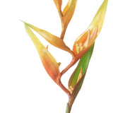 2 Pezzi • Heliconia artificiale • 82 cm