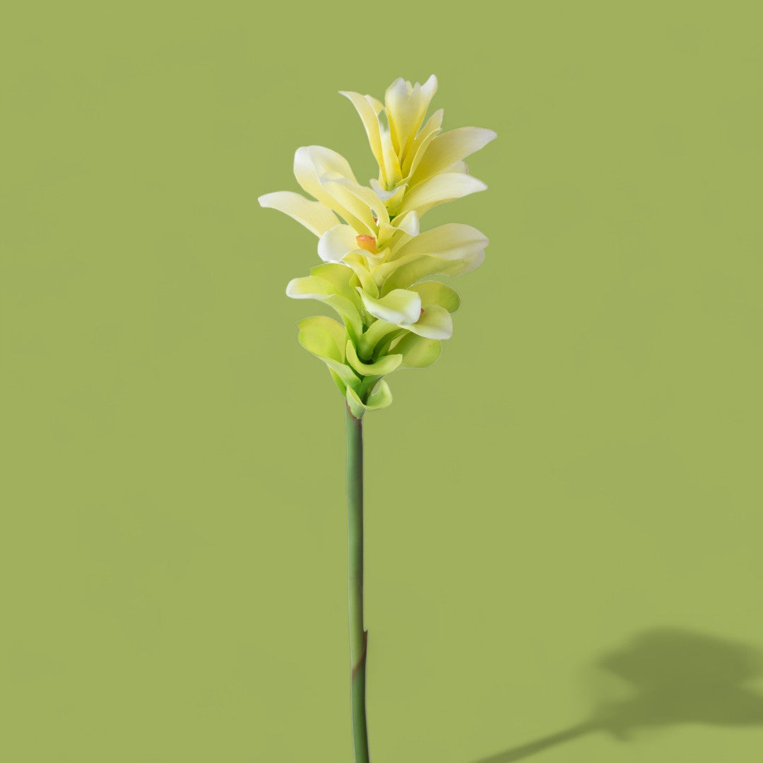 2 Pezzi • Ginger fiore artificiale • 100 cm