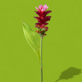 2 Pezzi • Tiny fiore con foglia artificiale • 74 cm