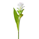 2 Pezzi • Tiny fiore con foglia artificiale • 74 cm