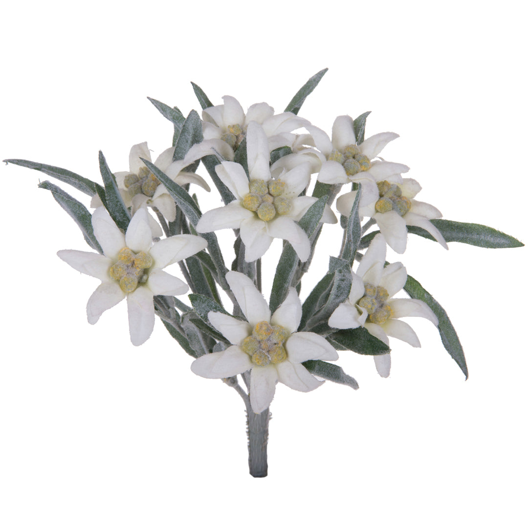 2 Pezzi • Stella alpina artificiale • 25 cm