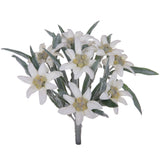 2 Pezzi • Stella alpina artificiale • 25 cm