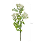 Kalanchoe Fiorita per 3 fiori • 60 cm