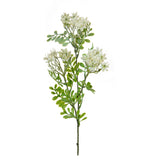 Kalanchoe Fiorita per 3 fiori • 60 cm