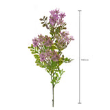 Kalanchoe Fiorita per 3 fiori • 60 cm