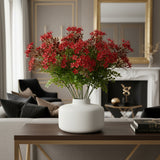 Kalanchoe Fiorita per 3 fiori • 60 cm