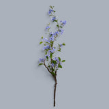 Plumbago Ramo con Fiori • 150 cm