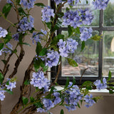 Plumbago Ramo con Fiori • 150 cm