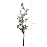 Plumbago Ramo con Fiori • 150 cm