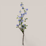 Plumbago Ramo con Fiori • 150 cm