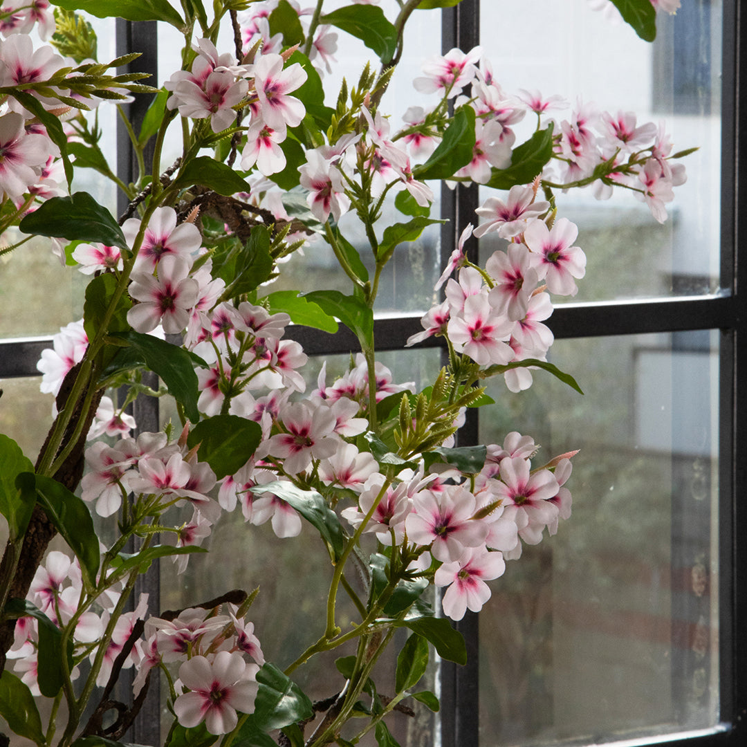 Plumbago Ramo con Fiori • 150 cm