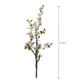 Plumbago Ramo con Fiori • 150 cm